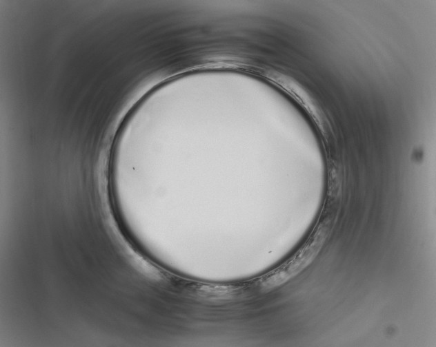 X0000116840859201001081457