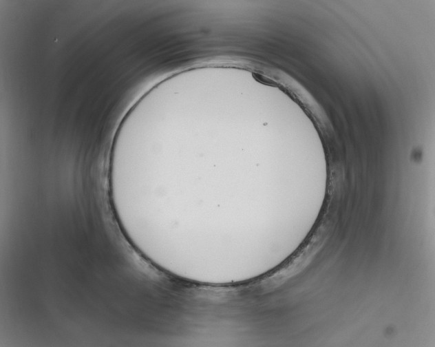 X0000116840860201001081457