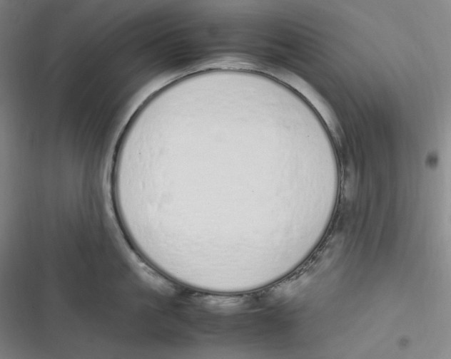 X0000116840861201001081457