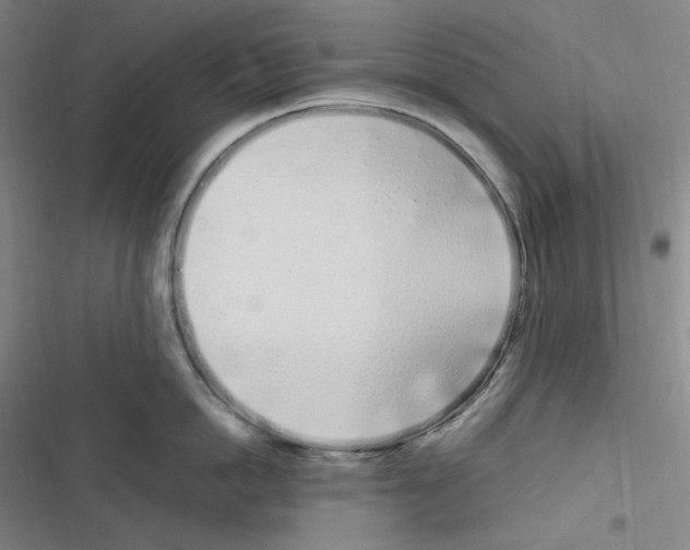 X0000116840862201001081457