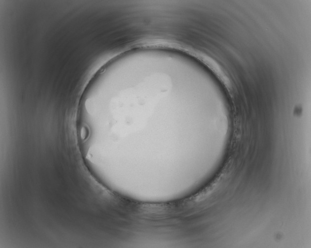 X0000116840863201001081457