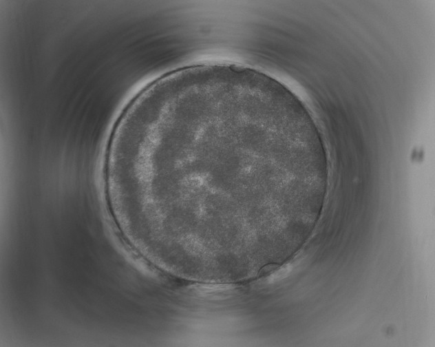 X0000116840864201001081457