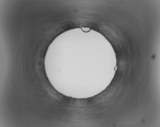 X0000116840865201001081456