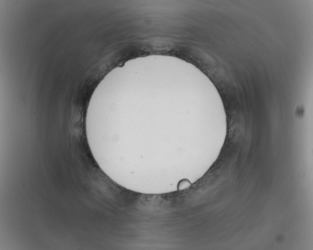 X0000116840866201001081456