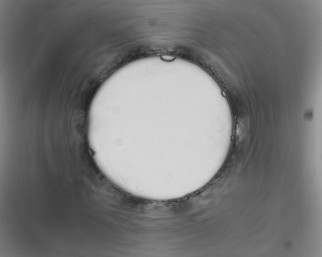 X0000116840867201001081456