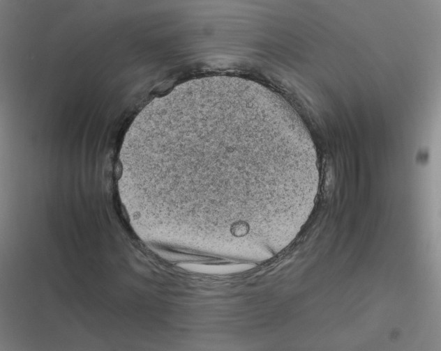 X0000116840868201001081456