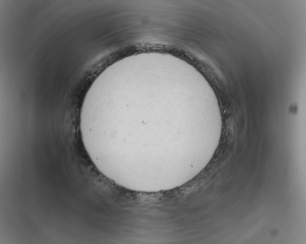 X0000116840870201001081456