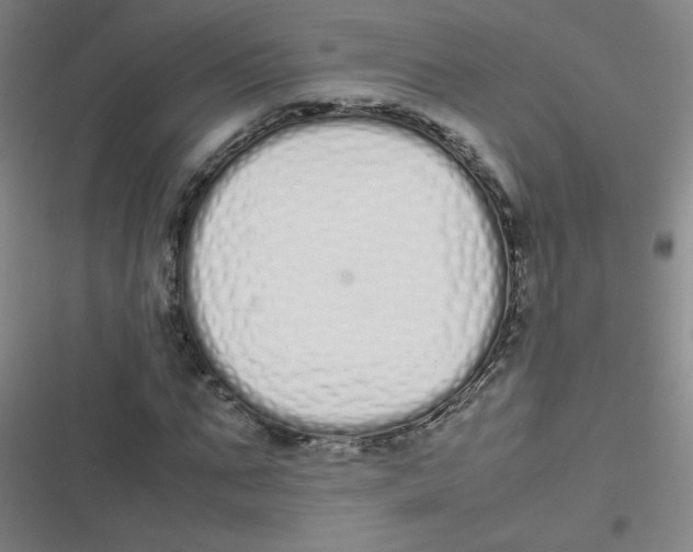 X0000116840871201001081456