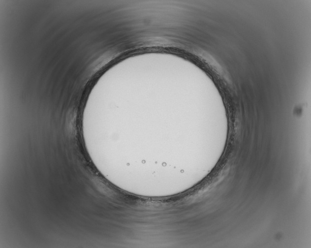 X0000116840873201001081456