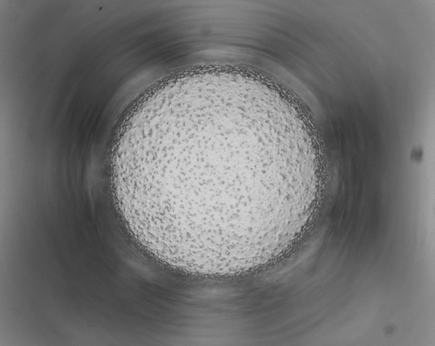 X0000116840874201001081456