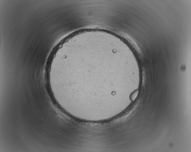 X0000116840876201001081456