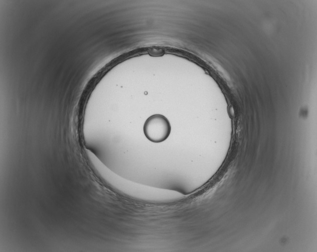 X0000116840877201001081456