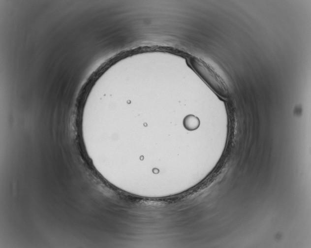 X0000116840878201001081456