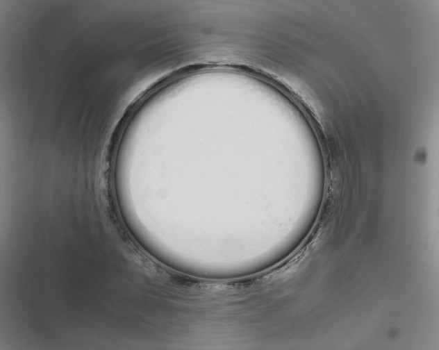 X0000116840879201001081456