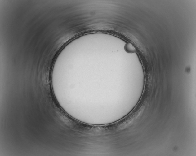 X0000116840881201001081456