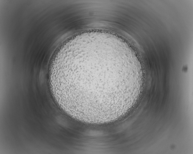 X0000116840882201001081456