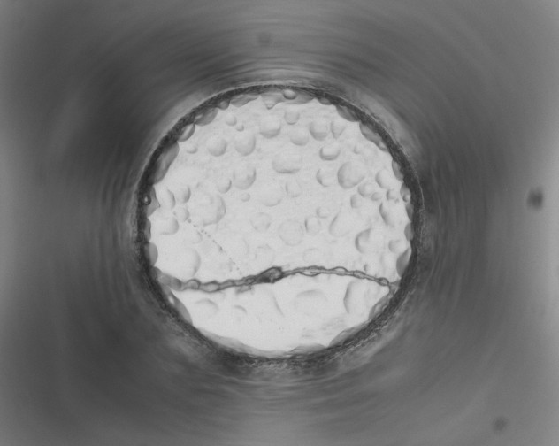 X0000116840883201001081456