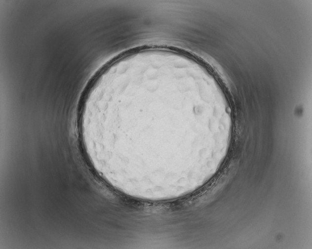 X0000116840887201001081456