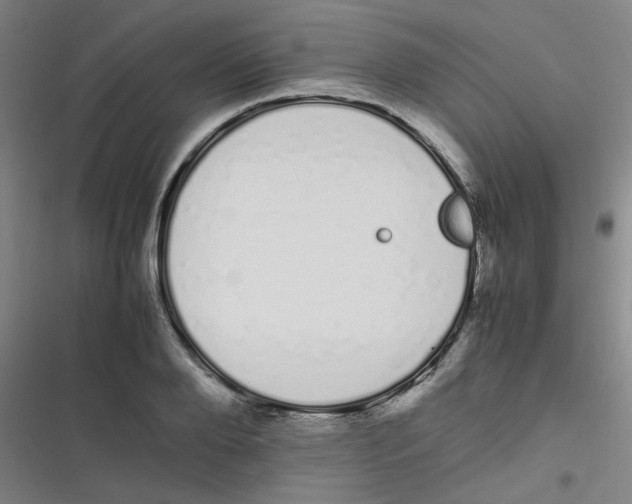 X0000116840888201001081456