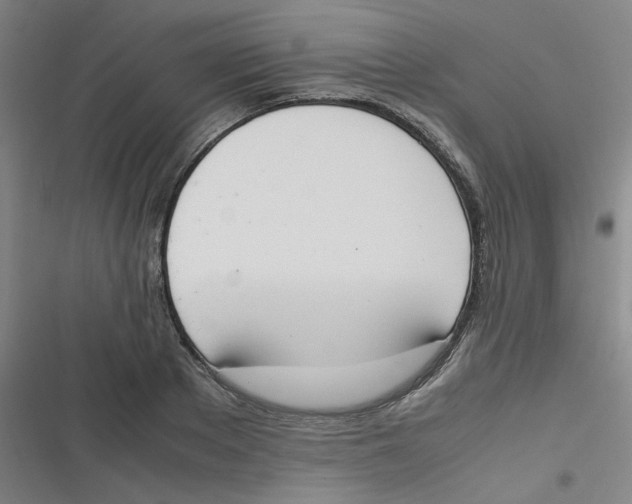 X0000116840889201001081456