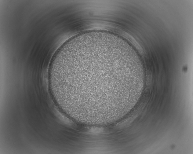 X0000116840890201001081456