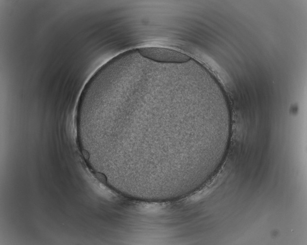 X0000116840892201001081456