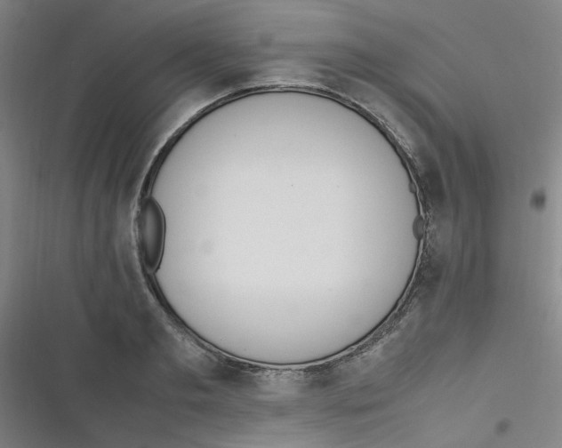 X0000116840893201001081456