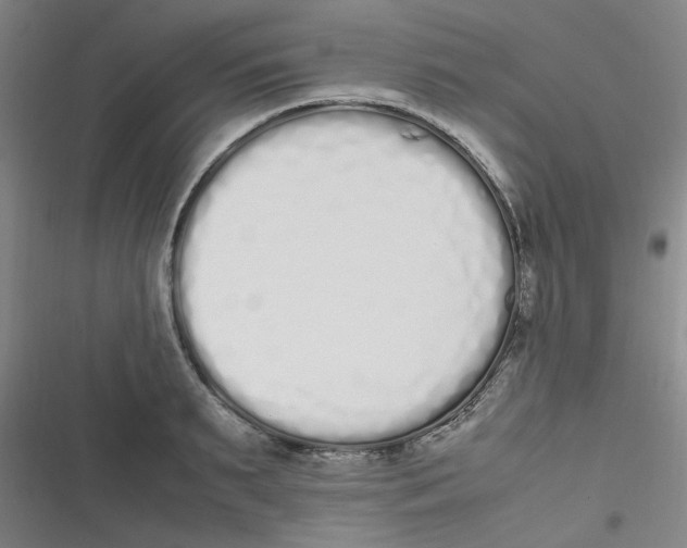 X0000116840895201001081456