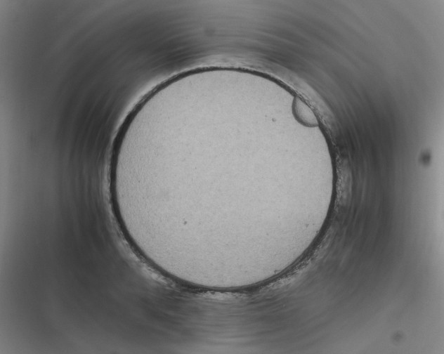 X0000116840896201001081456