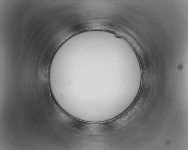 X0000116840897201001081456