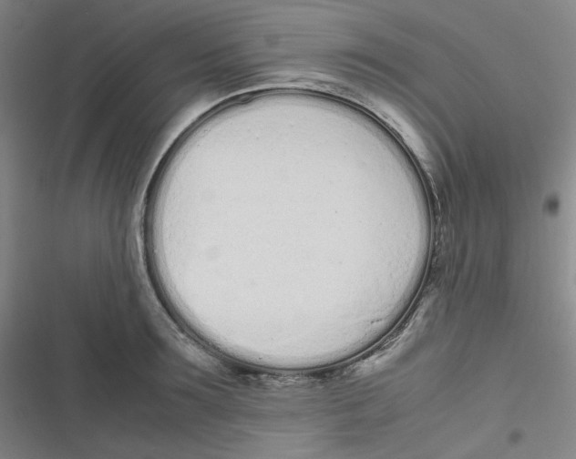 X0000116840899201001081456