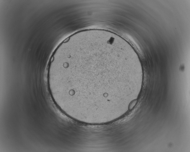 X0000116840900201001081456