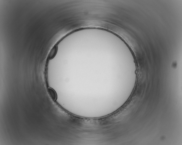 X0000116840901201001081456