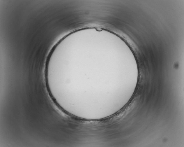 X0000116840902201001081456