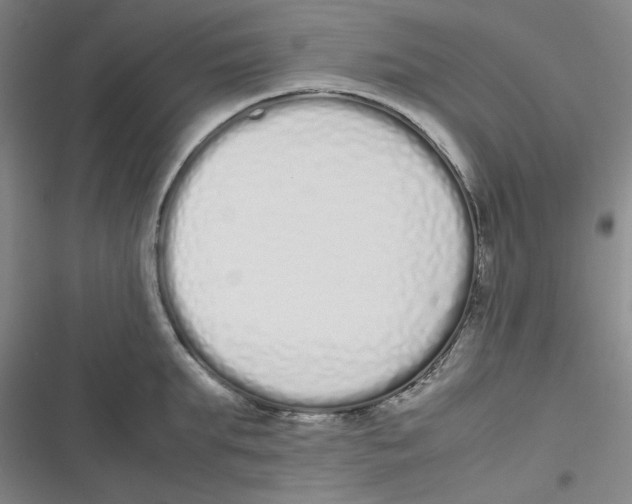 X0000116840903201001081456