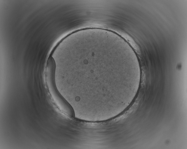 X0000116840904201001081456