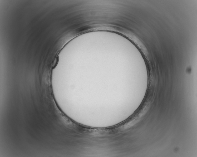 X0000116840905201001081456