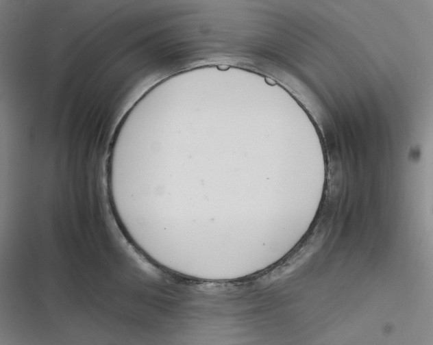 X0000116840906201001081456