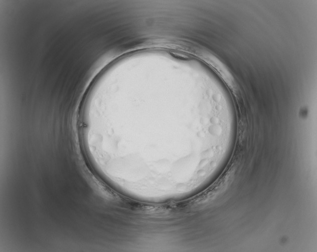 X0000116840907201001081456