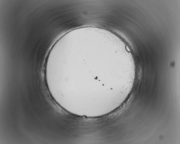 X0000116840908201001081456