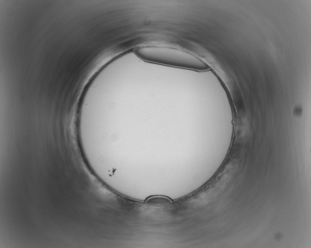 X0000116840909201001081456