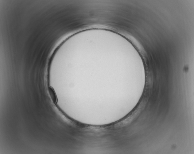 X0000116840910201001081456