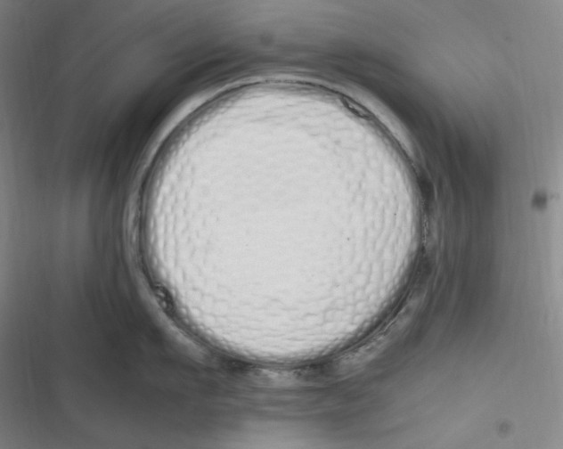 X0000116840911201001081456