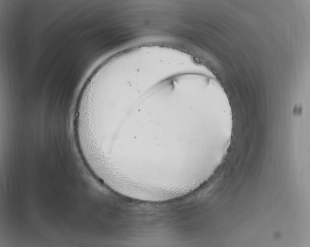 X0000116840912201001081456