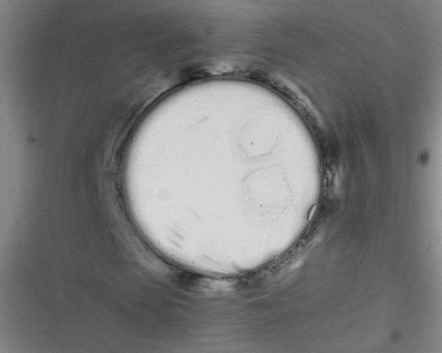 X0000116840913201001081455