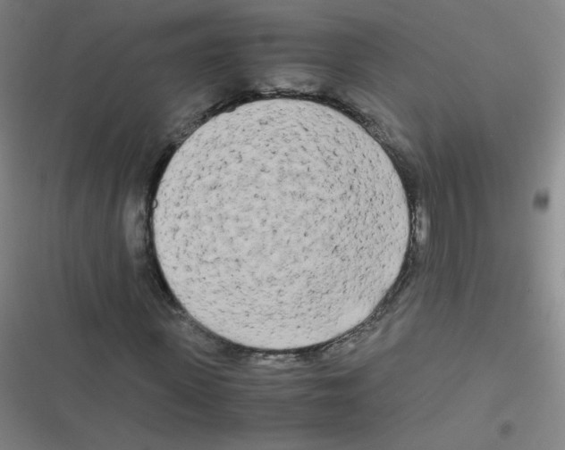 X0000116840915201001081455