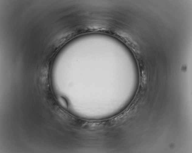 X0000116840917201001081455