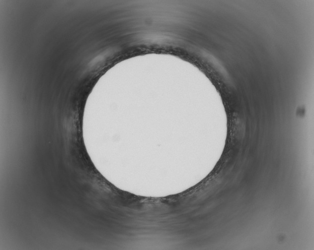 X0000116840918201001081455