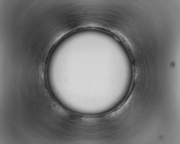 X0000116840921201001081455