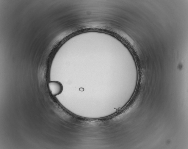 X0000116840922201001081455